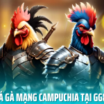 Đá gà mạng campuchia tại gg88