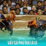 Vảy gà phủ địa là gì